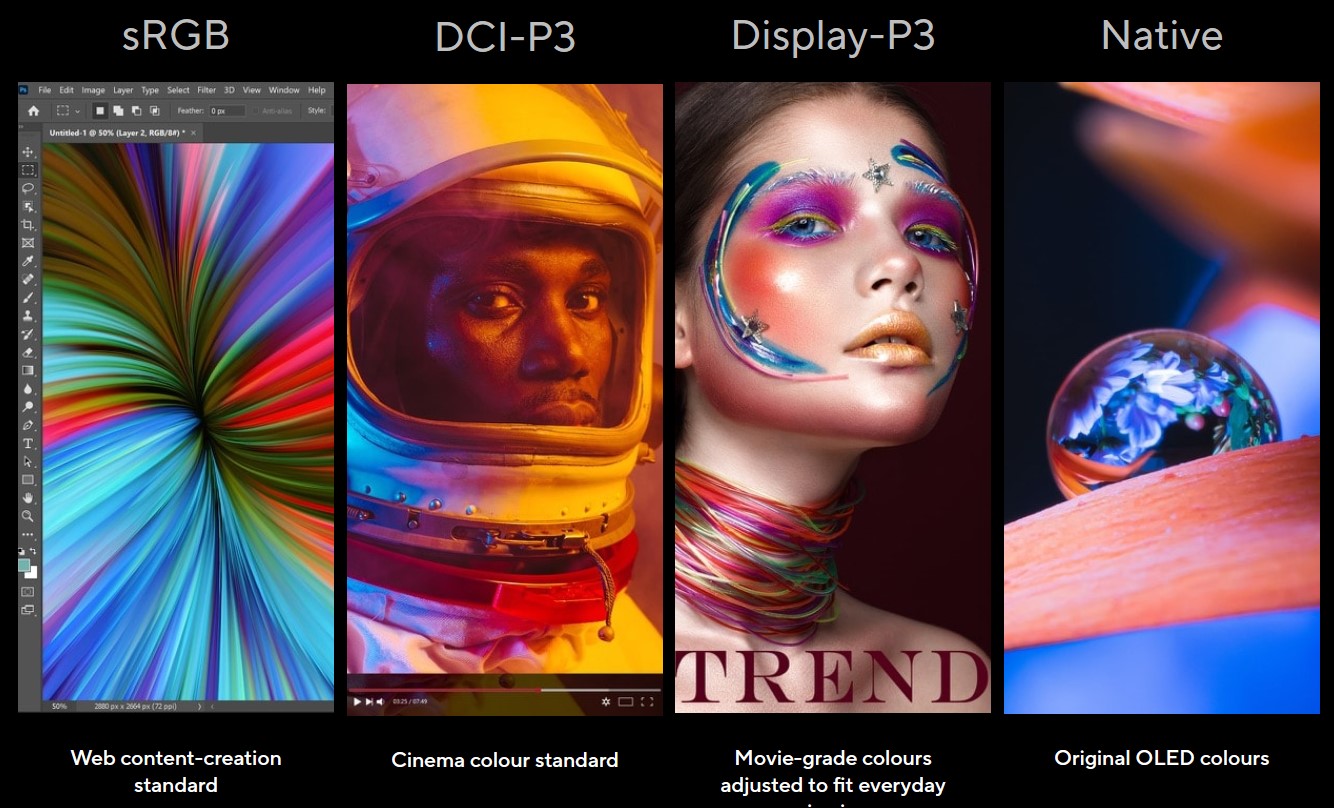 Zenbook Duo UX8406 2024