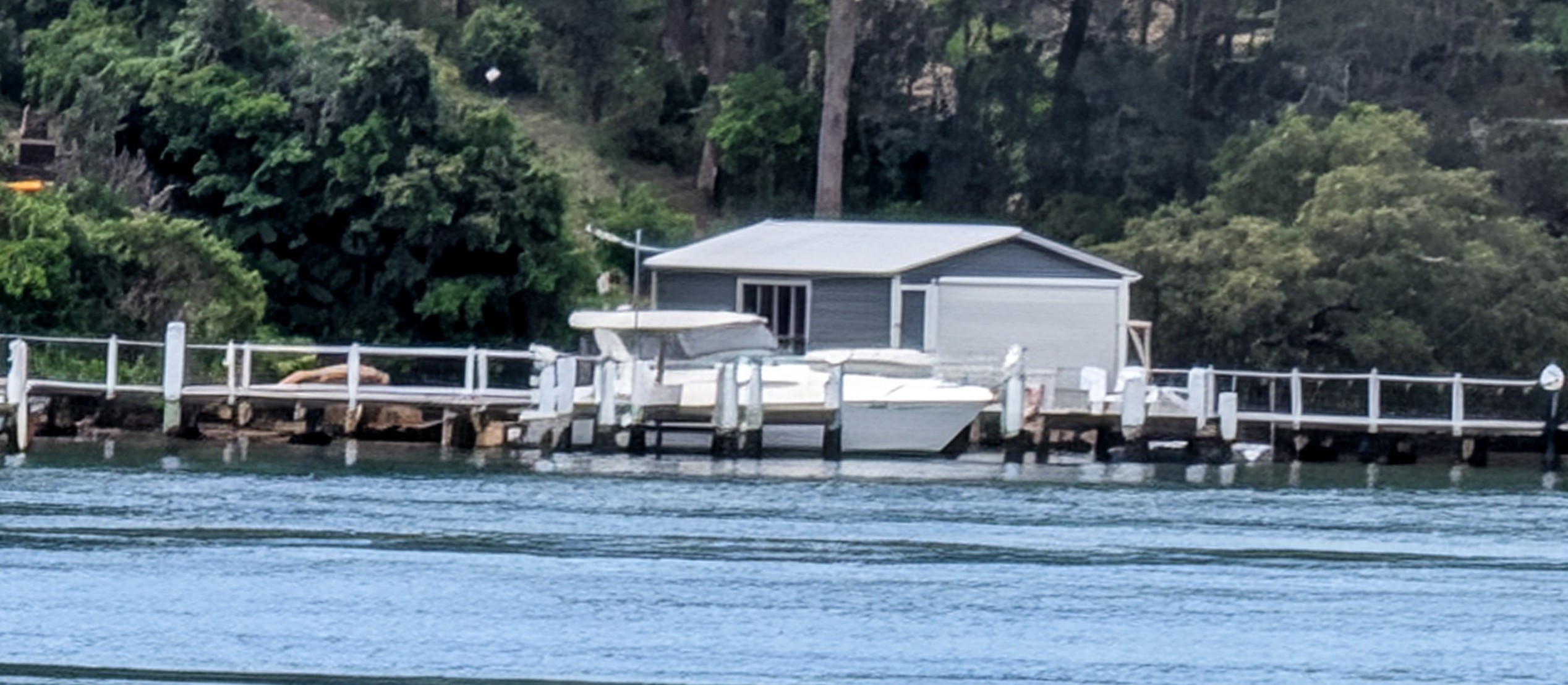 Google Pixel 10 Pro XL