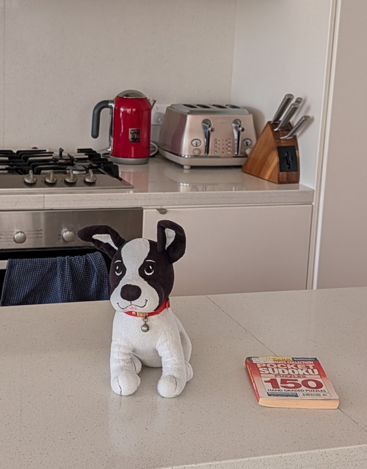 Google Pixel 10 Pro XL