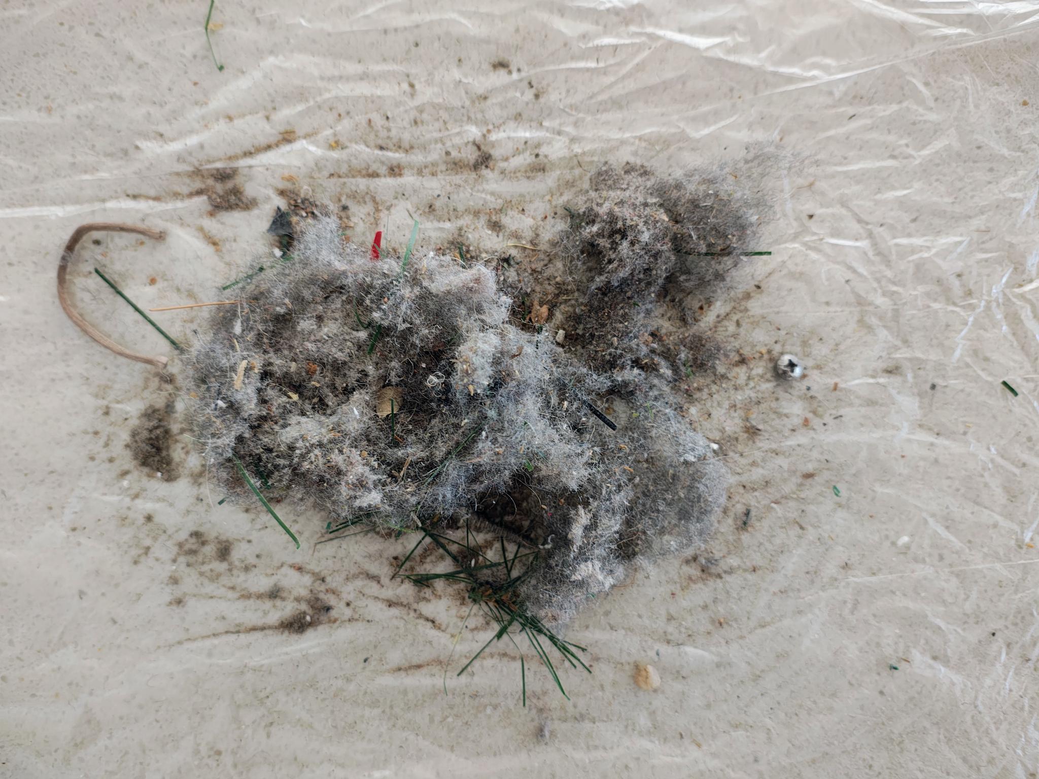 Shark PowerDetect IP3251