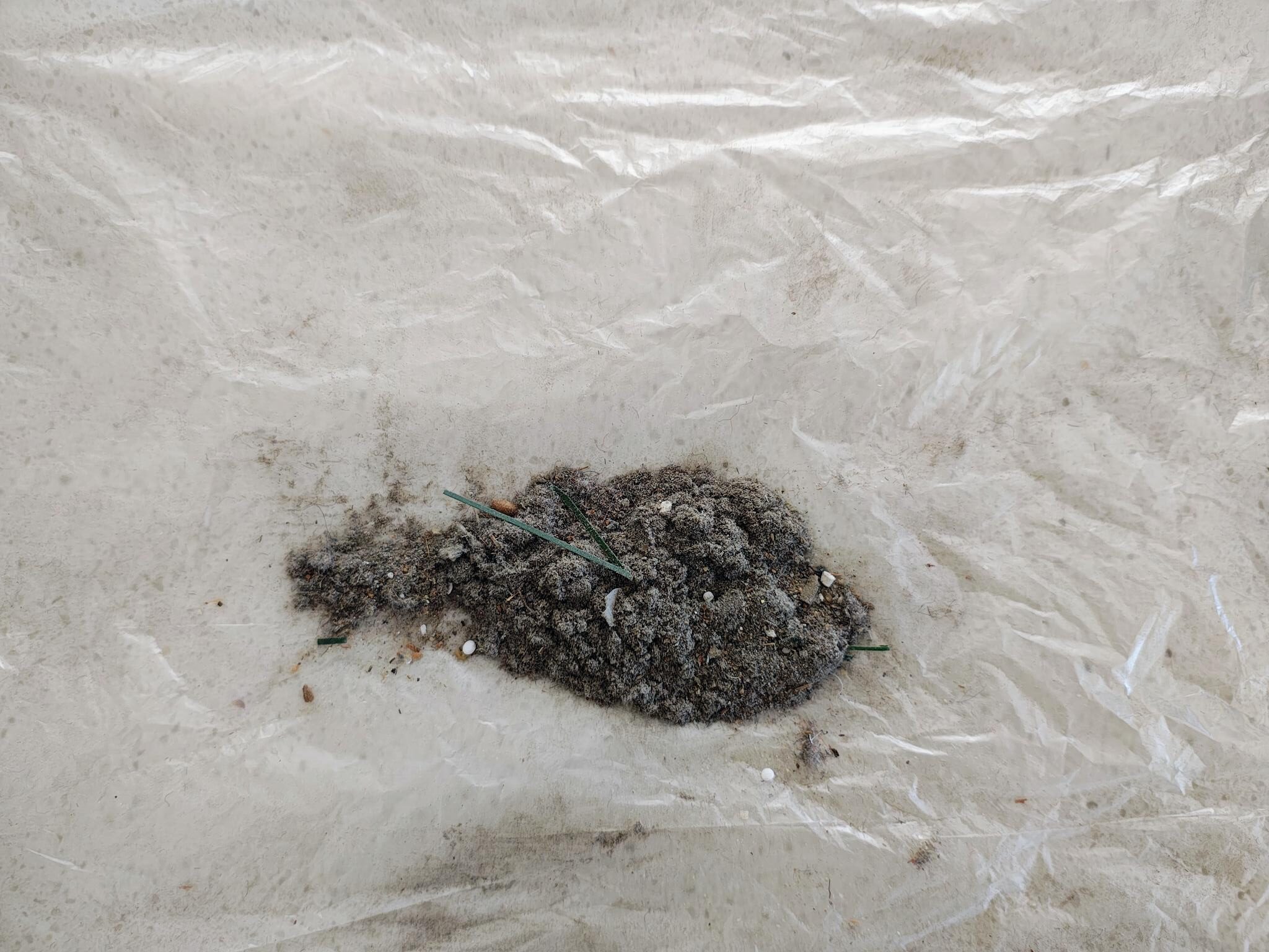 Shark PowerDetect IP3251