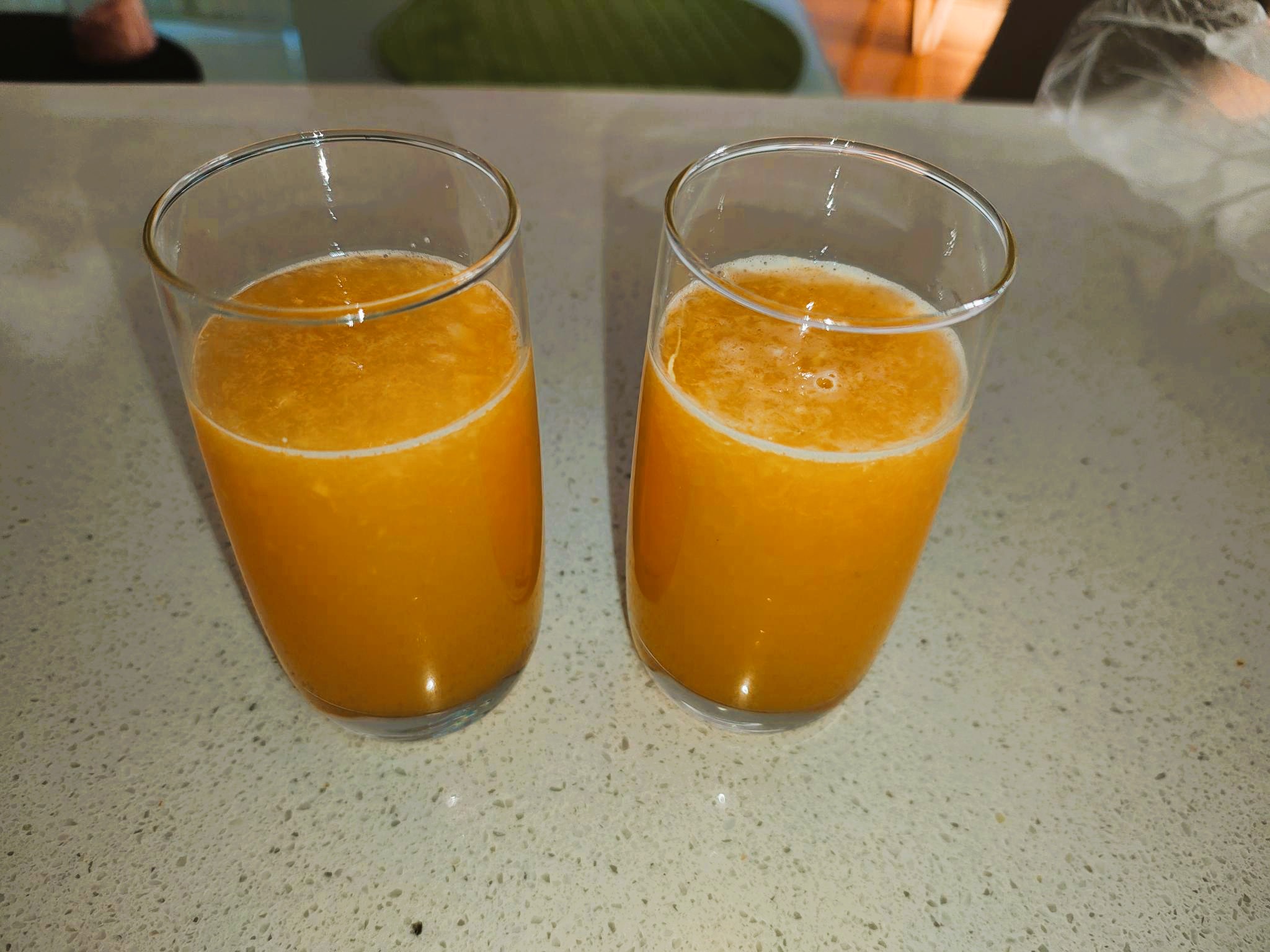 Ninja NeverClog Cold Press Juicer 