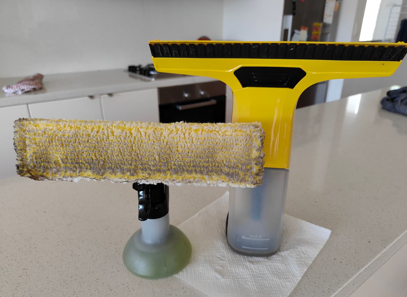 Karcher WV 6 Plus window vac