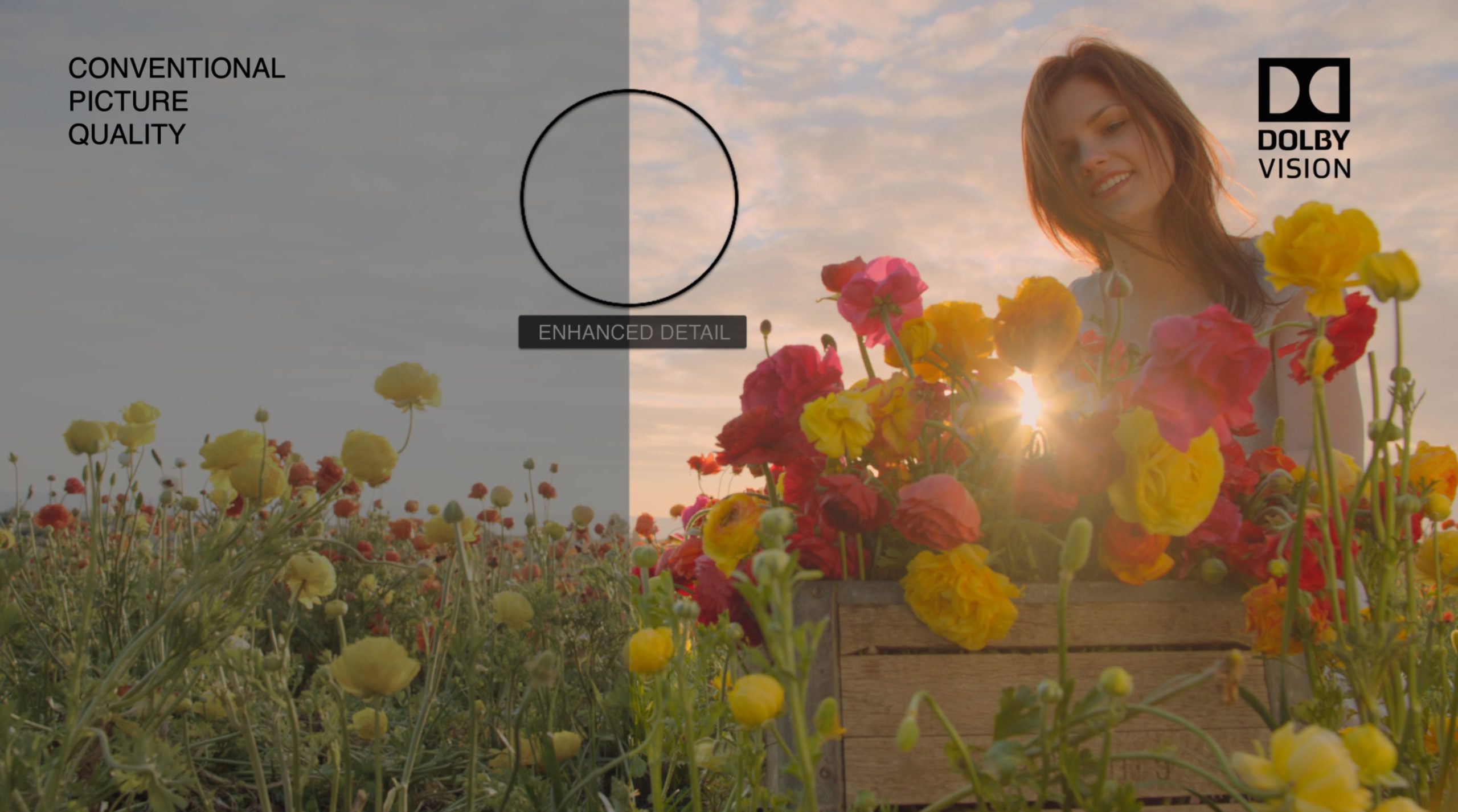 LG Objet Posé 55”