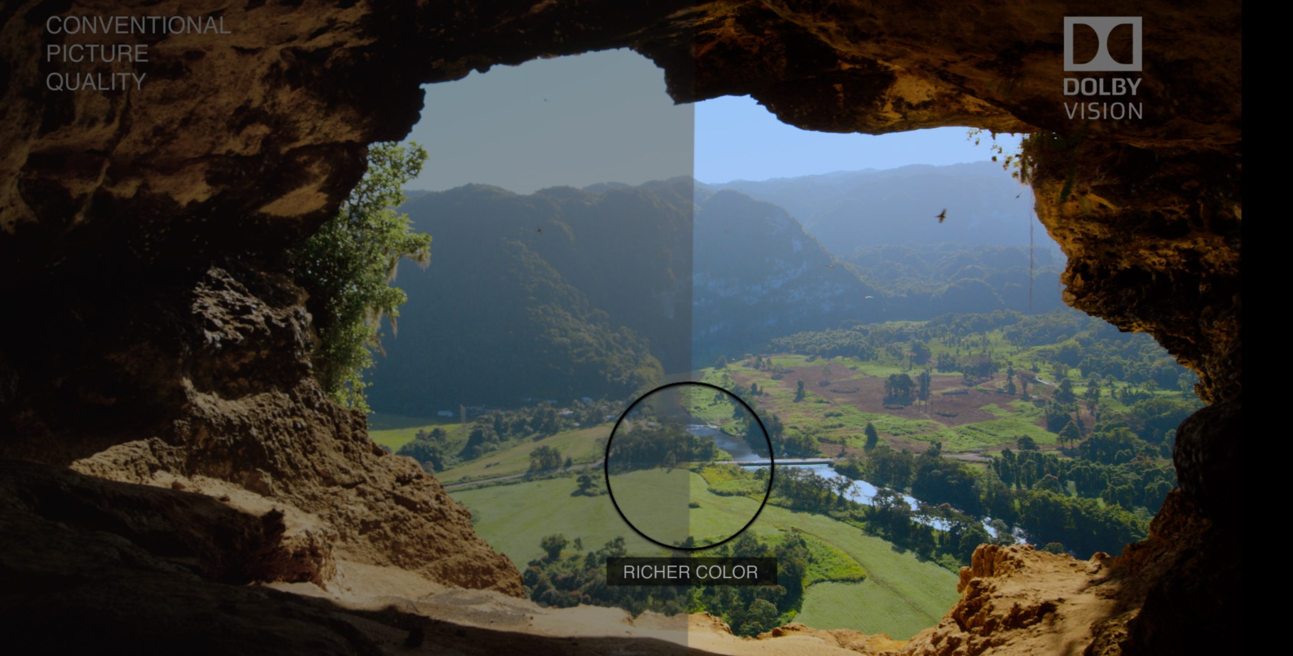 LG Objet Posé 55”