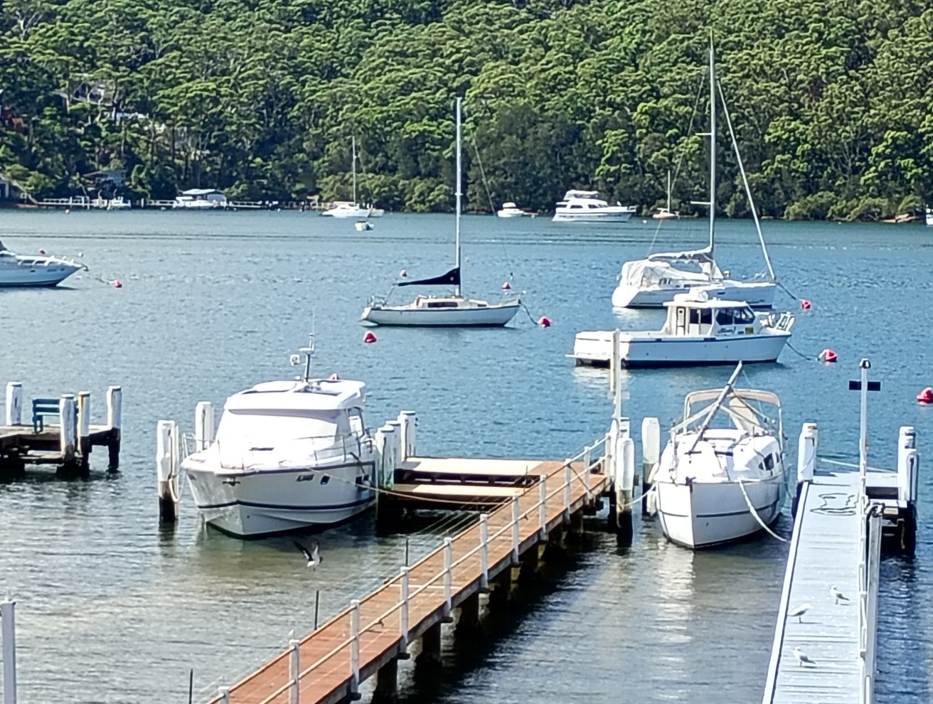 Motorola g05 and g15