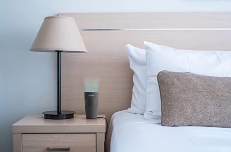 Panasonic Portable nanoe X Generator