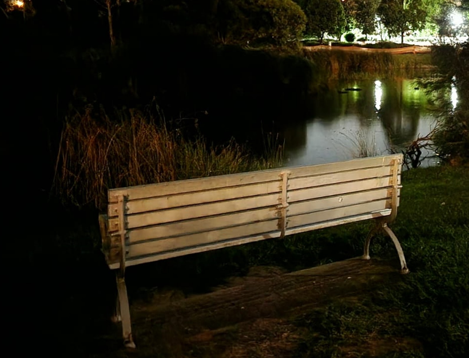 Samsung Galaxy S22 series